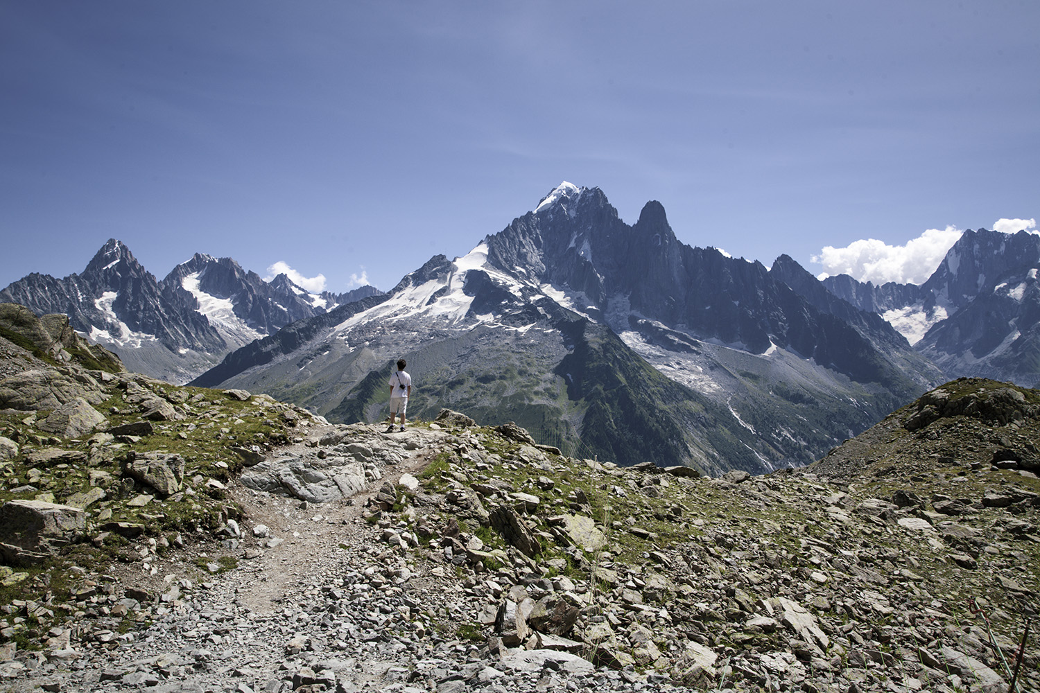 Aiguille Verte